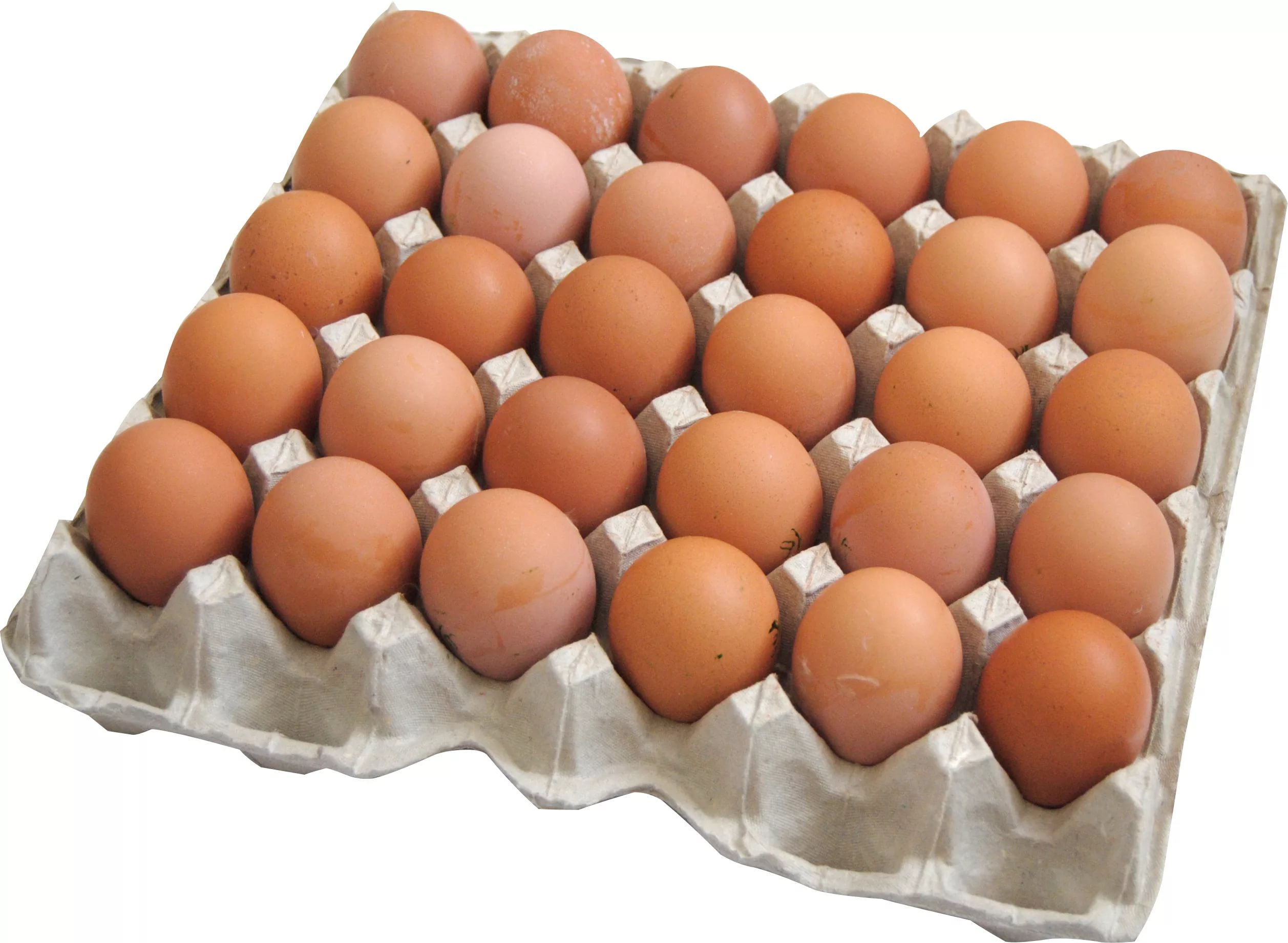 Eggs fresh 360pcs/box