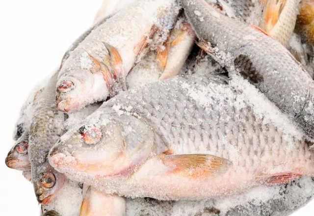 Fish frozen
