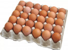 Eggs fresh 360pcs/box